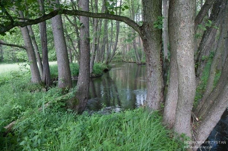 Вилла Bobrowa Przystan Czechyn Экстерьер фото