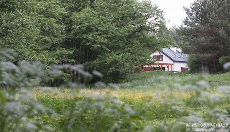 Вилла Bobrowa Przystan Czechyn Экстерьер фото