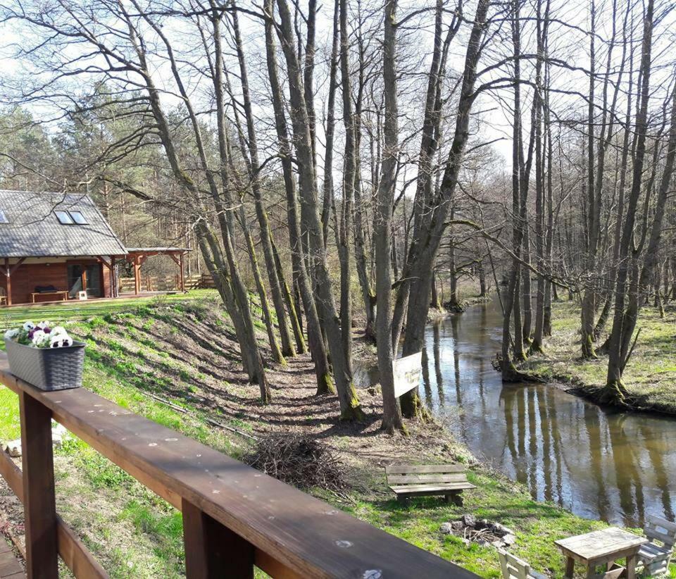 Вилла Bobrowa Przystan Czechyn Экстерьер фото